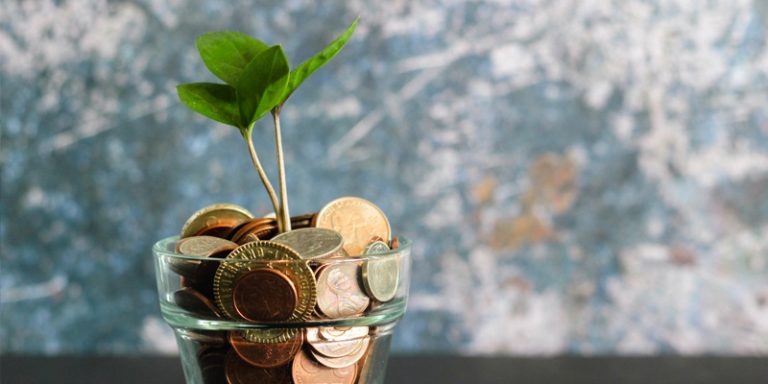 money plant investment concept image